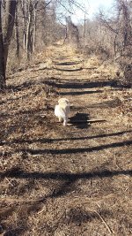 PRR Newtown Square Branch